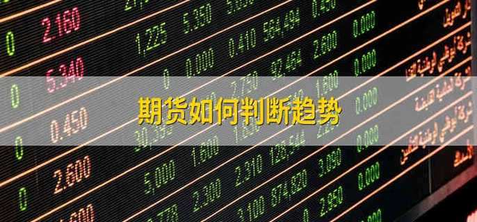 市六届人大常委会第55次主任会议召开