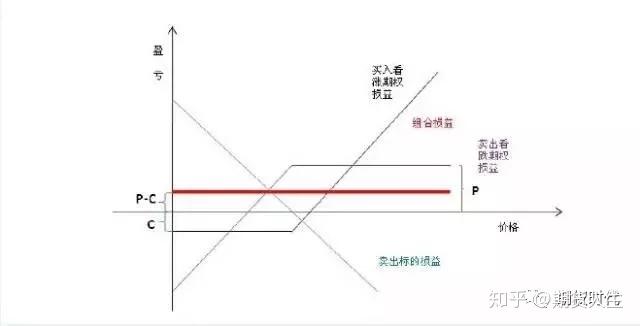 万斯称美正协调安排普京与泽连斯基会晤